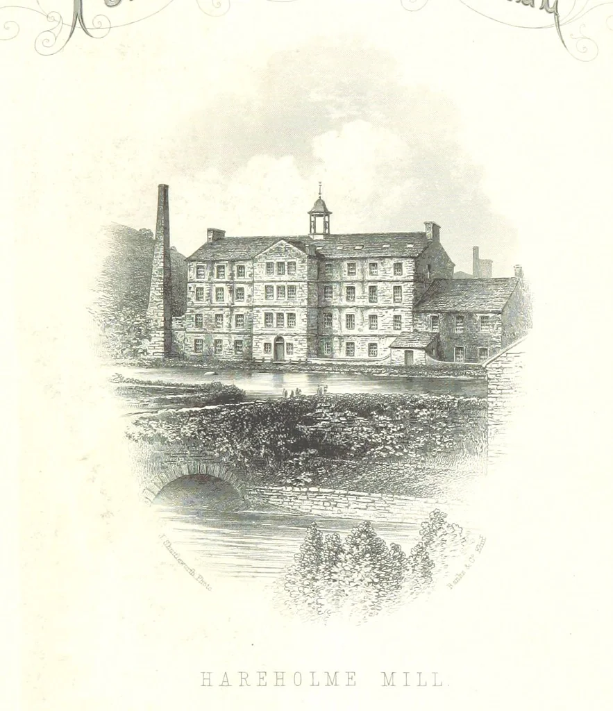 An illustration from History of the Forest of Rossendale ... With a chapter on the Geology of Rossendale. By Captain Aitken ... And observations on the botany of the district. By A. Stansfield, 1868, leaf 9