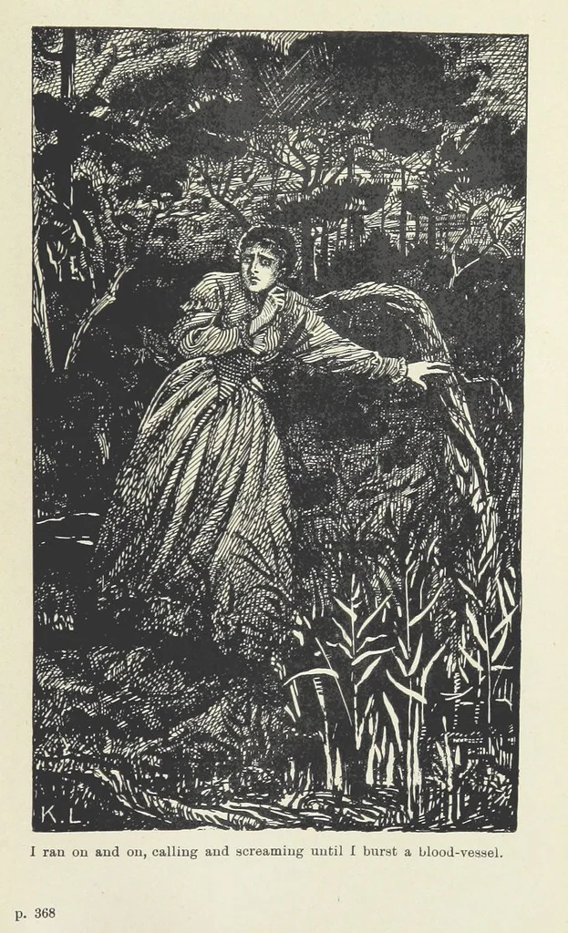 An illustration from Paving the Way. A romance of the Australian Bush, 1898, leaf 427