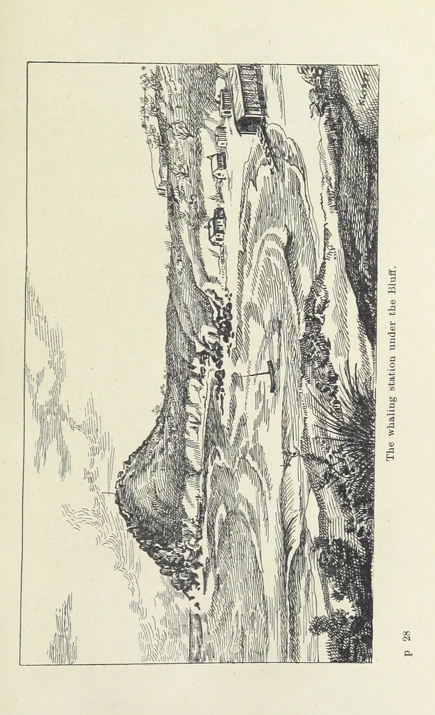 An illustration from Paving the Way. A romance of the Australian Bush, 1898, leaf 47