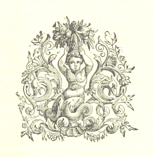 An illustration from Description générale du Païs et Duché de Berry et Diocèse de Bourges. Avec les cartes géographiques dudict païs ... Publié d'après le manuscrit autographe de la Bibliothèque Nationale de Paris [by A. Aupetit, 1883, leaf 27