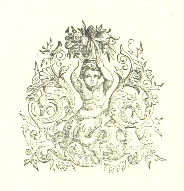 An illustration from Description générale du Païs et Duché de Berry et Diocèse de Bourges. Avec les cartes géographiques dudict païs ... Publié d'après le manuscrit autographe de la Bibliothèque Nationale de Paris [by A. Aupetit, 1883, leaf 84