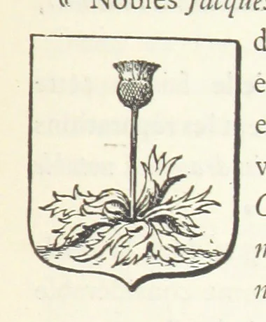 An illustration from Les Environs de l'Ille-Barbe ... Avec ... planches, etc, 1892, leaf 185