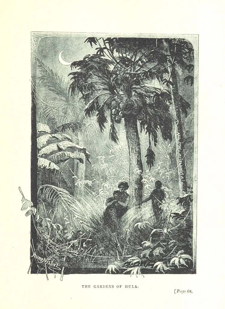 An illustration from The Land of the Hibiscus Blossom: a yarn of the Papuan Gulf ... With illustrations by the author, 1888, leaf 101