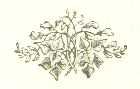 An illustration from The Land of the Hibiscus Blossom: a yarn of the Papuan Gulf ... With illustrations by the author, 1888, leaf 134