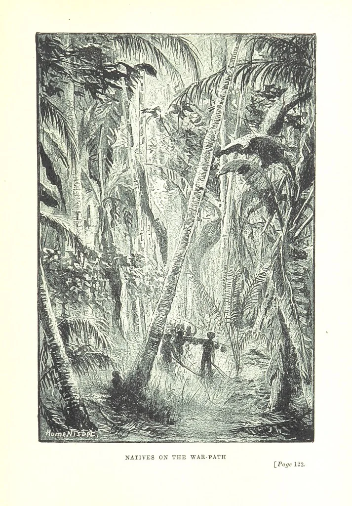 An illustration from The Land of the Hibiscus Blossom: a yarn of the Papuan Gulf ... With illustrations by the author, 1888, leaf 161