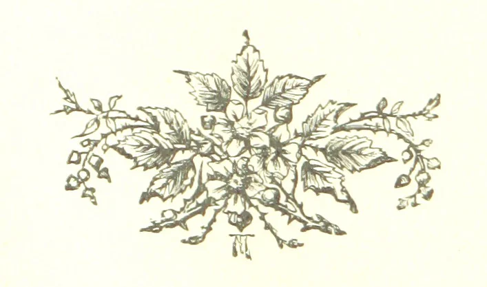 An illustration from The Land of the Hibiscus Blossom: a yarn of the Papuan Gulf ... With illustrations by the author, 1888, leaf 22