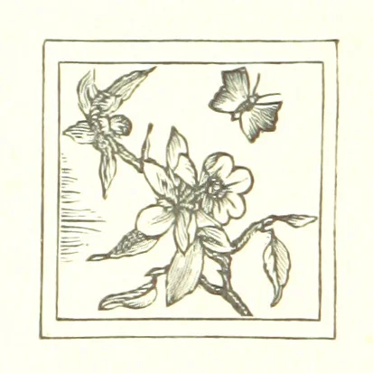 An illustration from The Land of the Hibiscus Blossom: a yarn of the Papuan Gulf ... With illustrations by the author, 1888, leaf 270