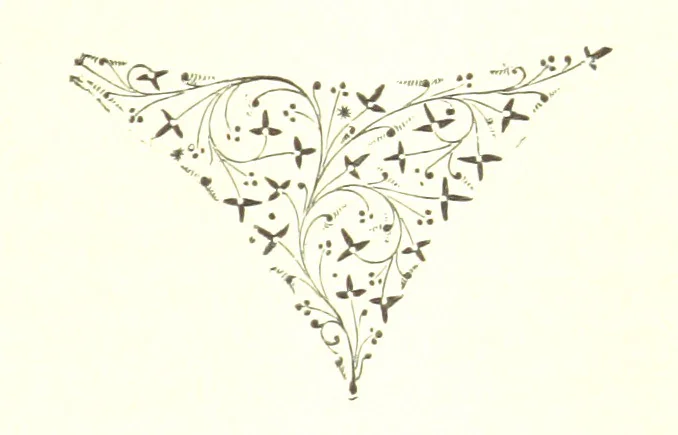 An illustration from The Land of the Hibiscus Blossom: a yarn of the Papuan Gulf ... With illustrations by the author, 1888, leaf 29