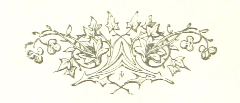 An illustration from The Land of the Hibiscus Blossom: a yarn of the Papuan Gulf ... With illustrations by the author, 1888, leaf 82