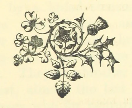 An illustration from Irish Pride. An unsocial tale of social life, 1885, leaf 11