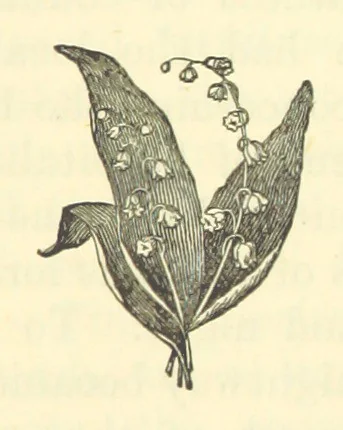 An illustration from Irish Pride. An unsocial tale of social life, 1885, leaf 113