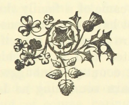 An illustration from Irish Pride. An unsocial tale of social life, 1885, leaf 203
