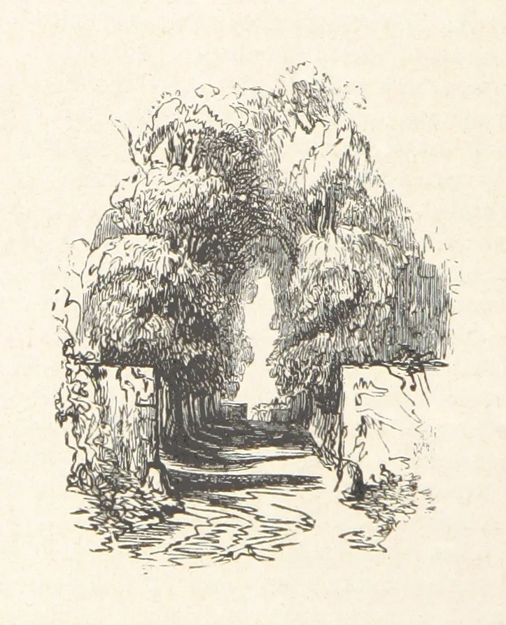 An illustration from Les Environs de Paris, histoire, monuments, paysages ... Par l'élite de la littérature contemporaine (L. Gozlan, J. Janin, Viollet-Leduc, etc.) ... 200 dessins. [Edited by J. E. C. N, 1855, leaf 312