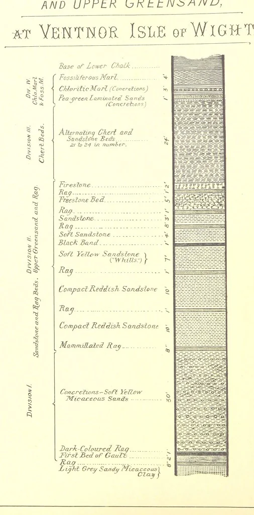 An illustration from A popular guide to the Geology of the Isle of Wight, with a note on its relation to that of the Isle of Purbeck ... Illustrated, etc, 1887, leaf 102