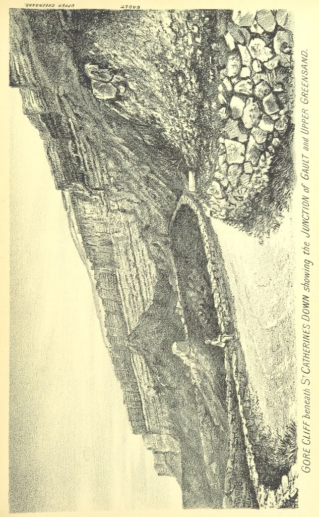 An illustration from A popular guide to the Geology of the Isle of Wight, with a note on its relation to that of the Isle of Purbeck ... Illustrated, etc, 1887, leaf 117