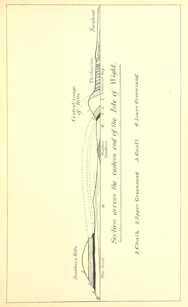 An illustration from A popular guide to the Geology of the Isle of Wight, with a note on its relation to that of the Isle of Purbeck ... Illustrated, etc, 1887, leaf 147