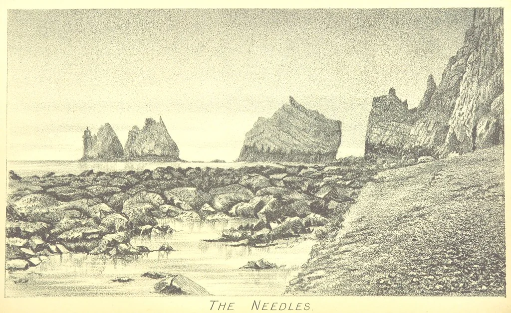 An illustration from A popular guide to the Geology of the Isle of Wight, with a note on its relation to that of the Isle of Purbeck ... Illustrated, etc, 1887, leaf 154