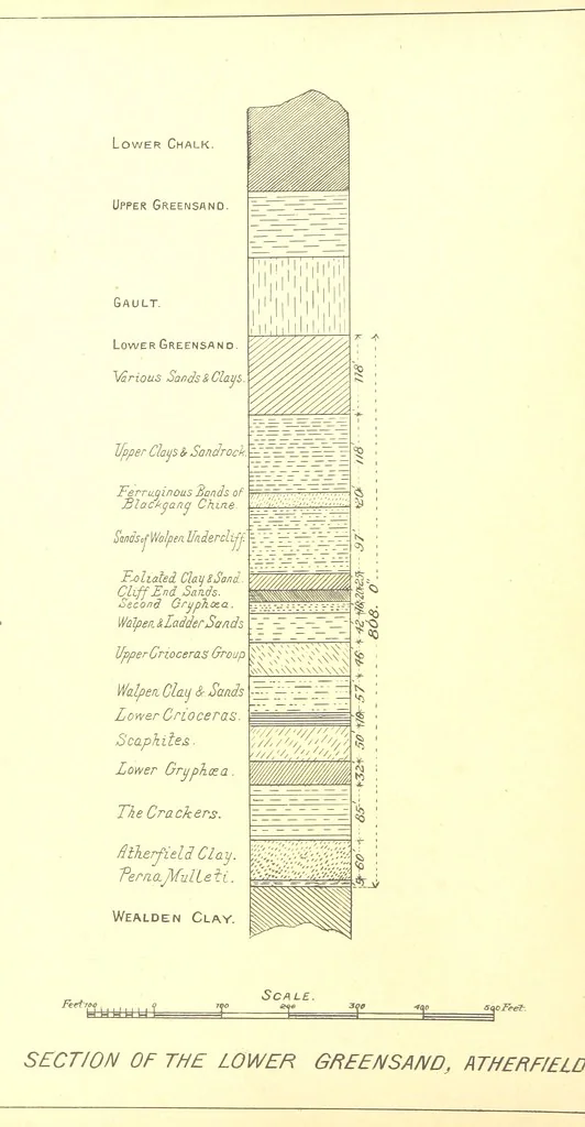 An illustration from A popular guide to the Geology of the Isle of Wight, with a note on its relation to that of the Isle of Purbeck ... Illustrated, etc, 1887, leaf 42