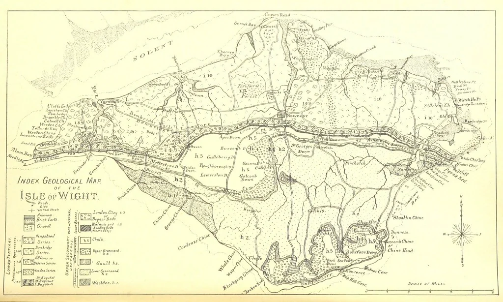 An illustration from A popular guide to the Geology of the Isle of Wight, with a note on its relation to that of the Isle of Purbeck ... Illustrated, etc, 1887, leaf 6