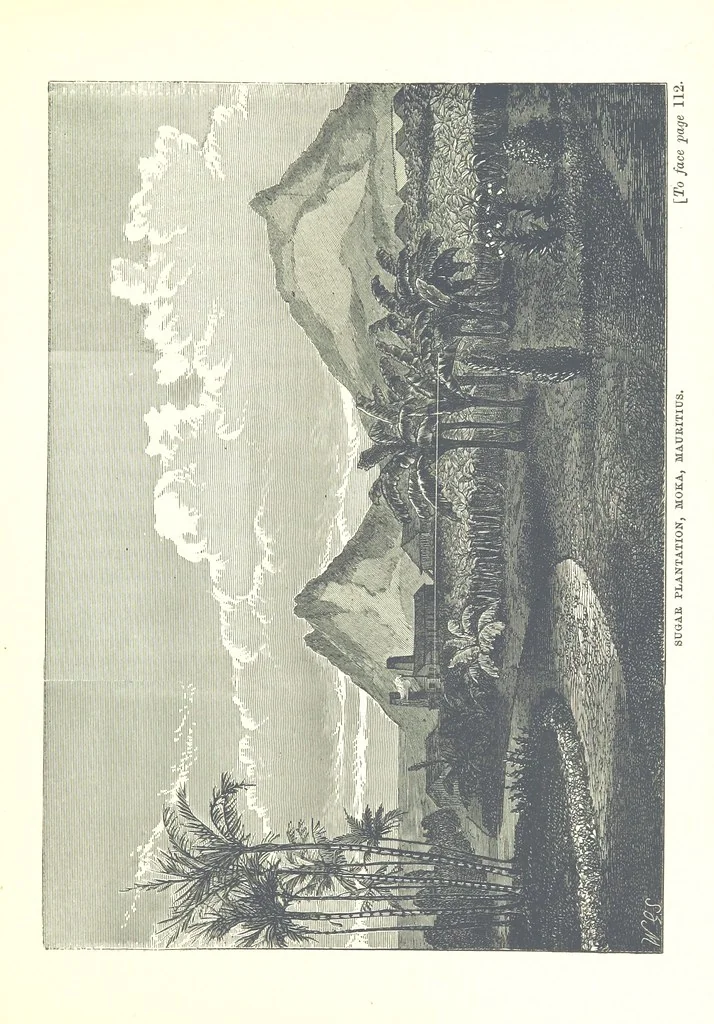 An illustration from On and off Duty, being leaves from an officer's notebook. ... With illustrations, etc, 1881, leaf 147