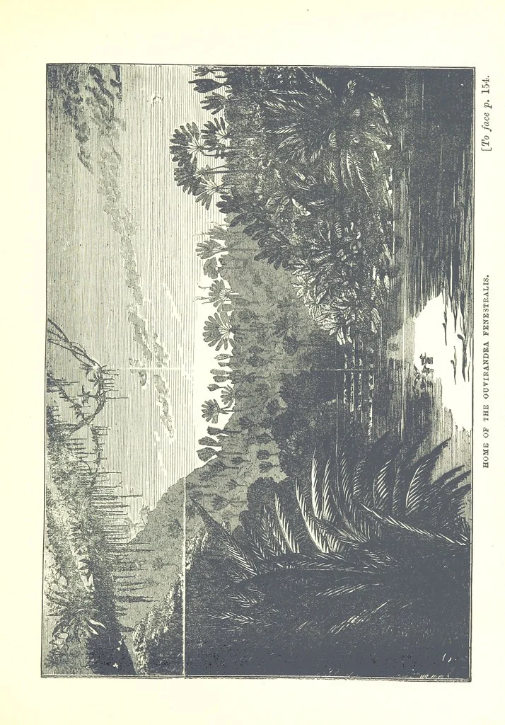 An illustration from On and off Duty, being leaves from an officer's notebook. ... With illustrations, etc, 1881, leaf 191