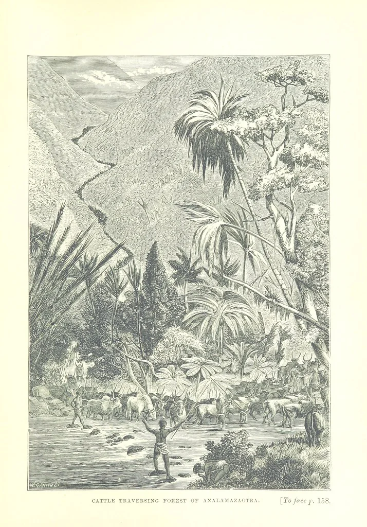 An illustration from On and off Duty, being leaves from an officer's notebook. ... With illustrations, etc, 1881, leaf 197