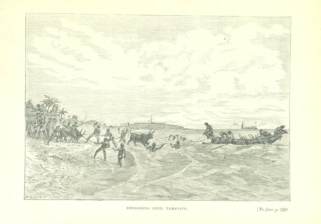 An illustration from On and off Duty, being leaves from an officer's notebook. ... With illustrations, etc, 1881, leaf 265