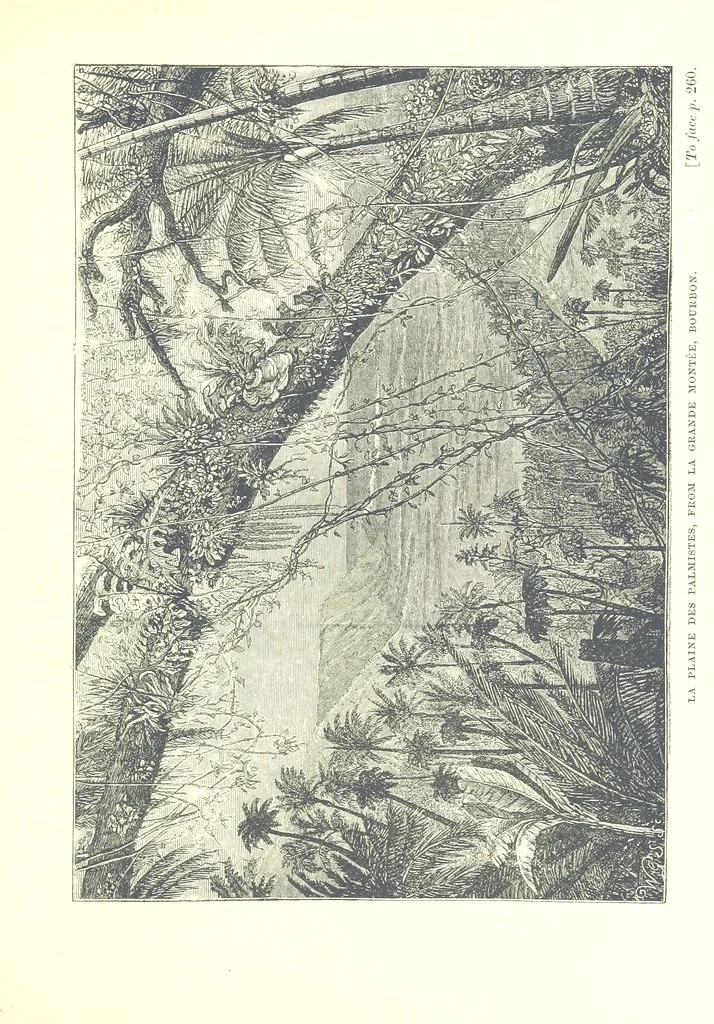An illustration from On and off Duty, being leaves from an officer's notebook. ... With illustrations, etc, 1881, leaf 309