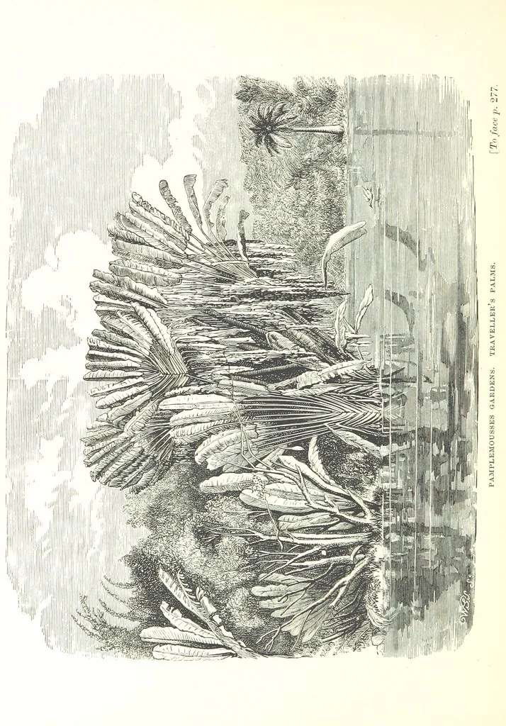 An illustration from On and off Duty, being leaves from an officer's notebook. ... With illustrations, etc, 1881, leaf 328