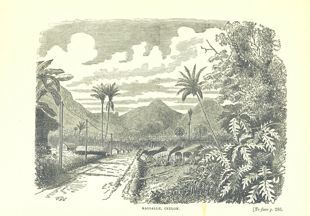 An illustration from On and off Duty, being leaves from an officer's notebook. ... With illustrations, etc, 1881, leaf 339