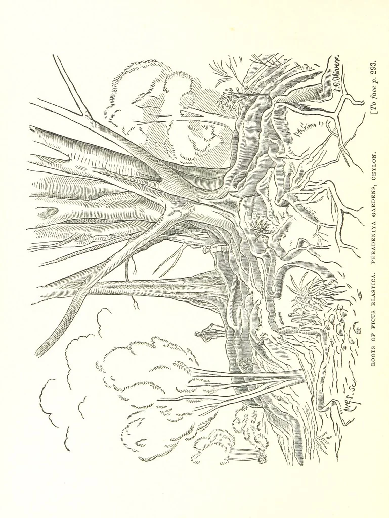 An illustration from On and off Duty, being leaves from an officer's notebook. ... With illustrations, etc, 1881, leaf 350