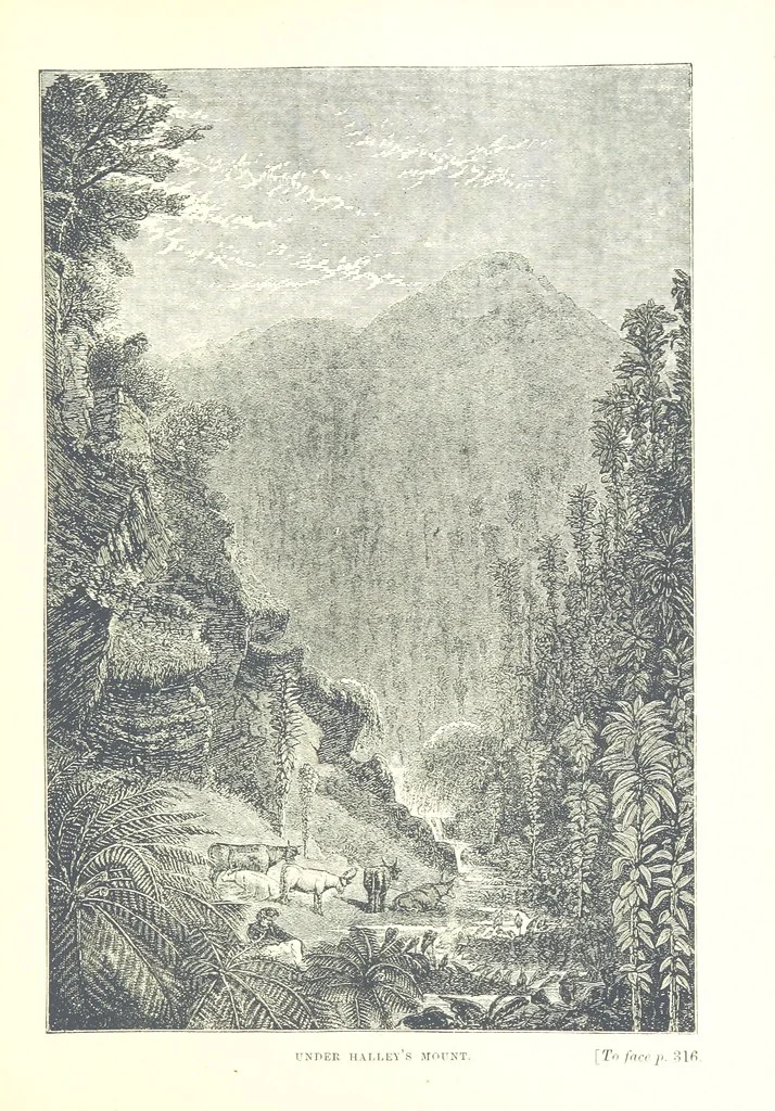 An illustration from On and off Duty, being leaves from an officer's notebook. ... With illustrations, etc, 1881, leaf 379