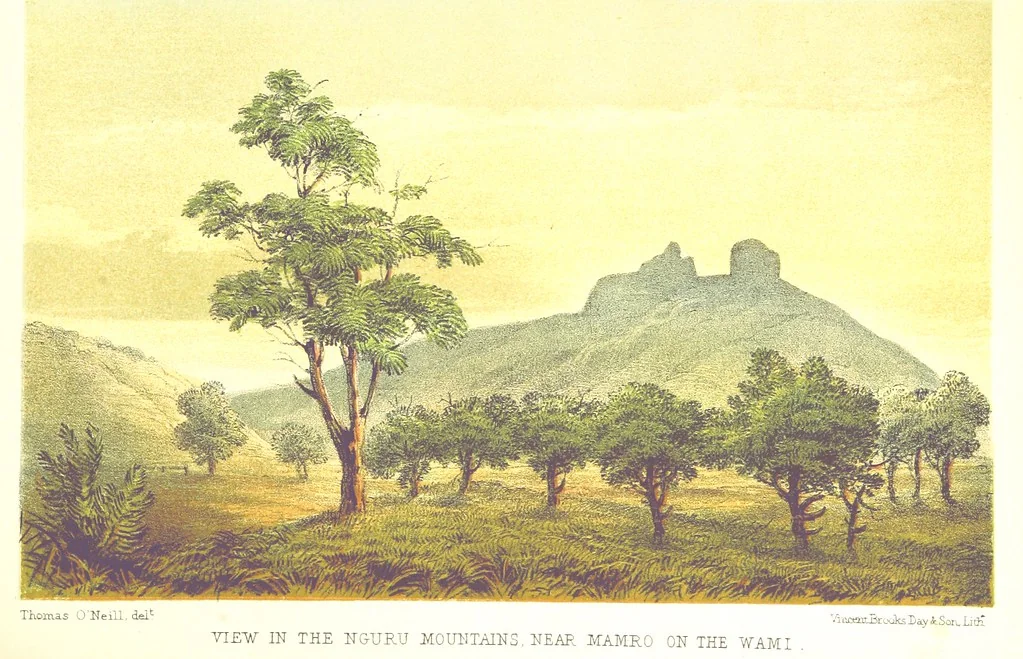 An illustration from Sketches of African Scenery, from Zanzibar to the Victoria Nyanza, being a series of coloured lithographic pictures, from sketches by ... T. O'Neill. (The larger part of the letterpress is from a journal kept by T. O'Neill.), 1878, leaf 15