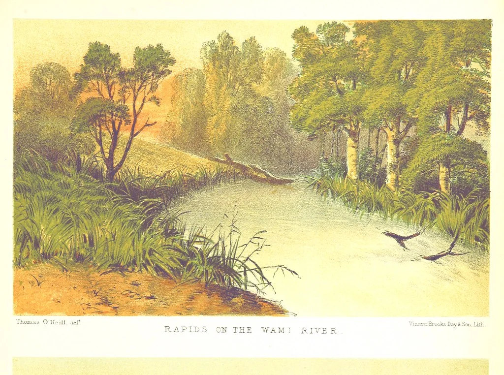 An illustration from Sketches of African Scenery, from Zanzibar to the Victoria Nyanza, being a series of coloured lithographic pictures, from sketches by ... T. O'Neill. (The larger part of the letterpress is from a journal kept by T. O'Neill.), 1878, leaf 15