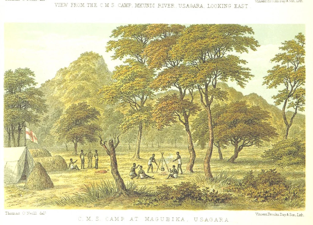 An illustration from Sketches of African Scenery, from Zanzibar to the Victoria Nyanza, being a series of coloured lithographic pictures, from sketches by ... T. O'Neill. (The larger part of the letterpress is from a journal kept by T. O'Neill.), 1878, leaf 18