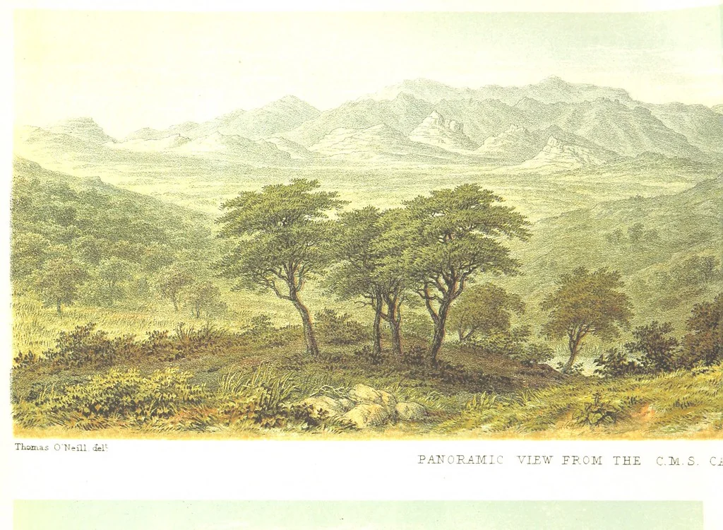 An illustration from Sketches of African Scenery, from Zanzibar to the Victoria Nyanza, being a series of coloured lithographic pictures, from sketches by ... T. O'Neill. (The larger part of the letterpress is from a journal kept by T. O'Neill.), 1878, leaf 22