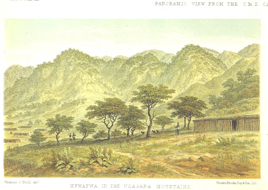 An illustration from Sketches of African Scenery, from Zanzibar to the Victoria Nyanza, being a series of coloured lithographic pictures, from sketches by ... T. O'Neill. (The larger part of the letterpress is from a journal kept by T. O'Neill.), 1878, leaf 22