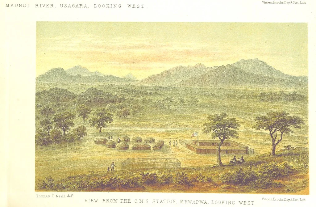An illustration from Sketches of African Scenery, from Zanzibar to the Victoria Nyanza, being a series of coloured lithographic pictures, from sketches by ... T. O'Neill. (The larger part of the letterpress is from a journal kept by T. O'Neill.), 1878, leaf 23