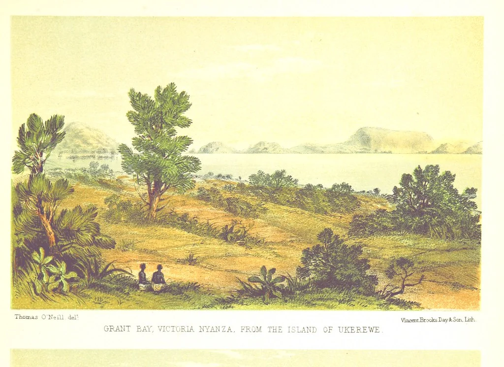 An illustration from Sketches of African Scenery, from Zanzibar to the Victoria Nyanza, being a series of coloured lithographic pictures, from sketches by ... T. O'Neill. (The larger part of the letterpress is from a journal kept by T. O'Neill.), 1878, leaf 33