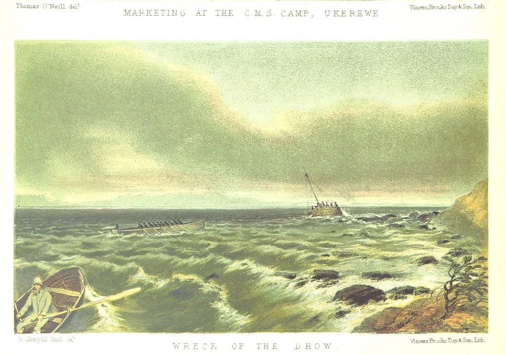 An illustration from Sketches of African Scenery, from Zanzibar to the Victoria Nyanza, being a series of coloured lithographic pictures, from sketches by ... T. O'Neill. (The larger part of the letterpress is from a journal kept by T. O'Neill.), 1878, leaf 40