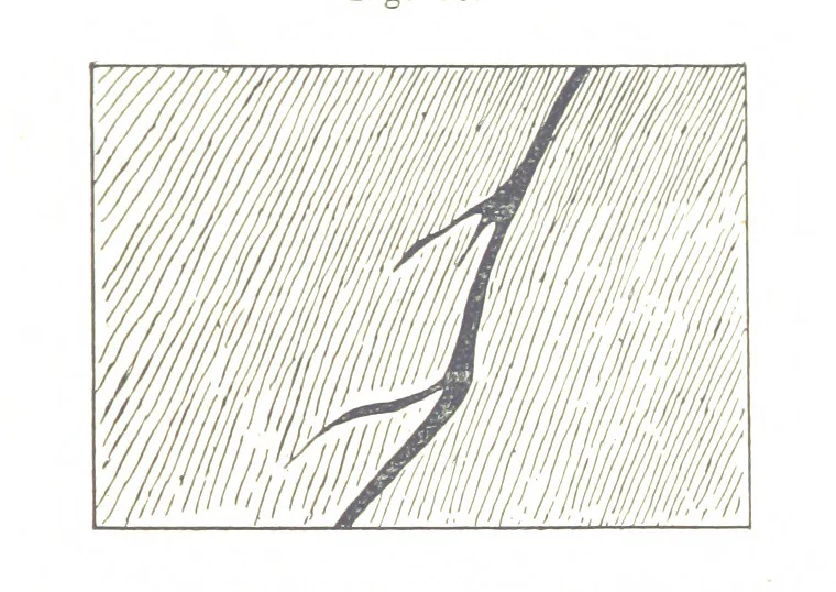 An illustration from The Prospector's Fieldbook and Guide in the search for ... Minerals. Illustrated, etc, 1892, leaf 113