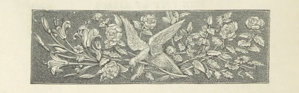 An illustration from Pascarel. Only a story. By Ouida, 1873, leaf 202