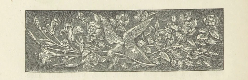 An illustration from Pascarel. Only a story. By Ouida, 1873, leaf 290