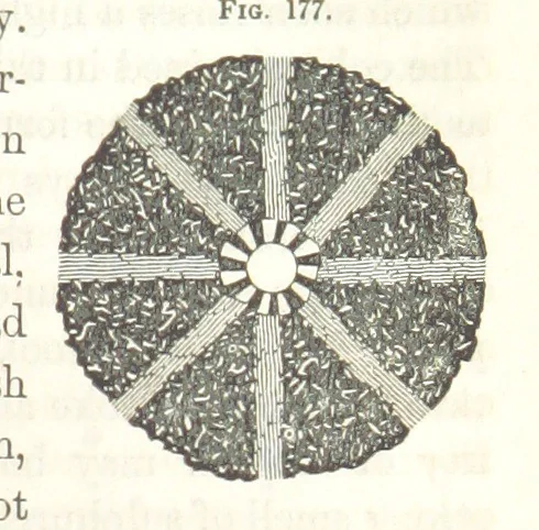 An illustration from A Treatise on Metallurgy; comprising mining, and general and particular metallurgical operations, etc, 1852, leaf 391