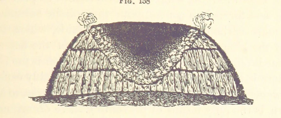 An illustration from A Treatise on Metallurgy; comprising mining, and general and particular metallurgical operations, etc, 1880, leaf 365