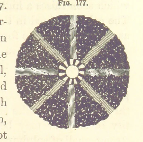 An illustration from A Treatise on Metallurgy; comprising mining, and general and particular metallurgical operations, etc, 1880, leaf 389