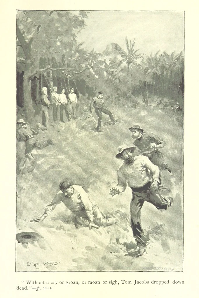 An illustration from Friend or Fortune? The story of a strange year, etc, 1897, leaf 211