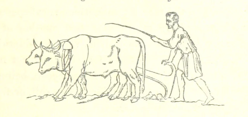 An illustration from Farming Implements, their various uses and recent modern improvements compared with the old machines. By F. D. P, 1847, leaf 19