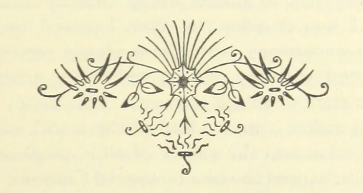 An illustration from The Writings of Thomas Paine. Collected and edited by M. D. Conway, 1894, leaf 39