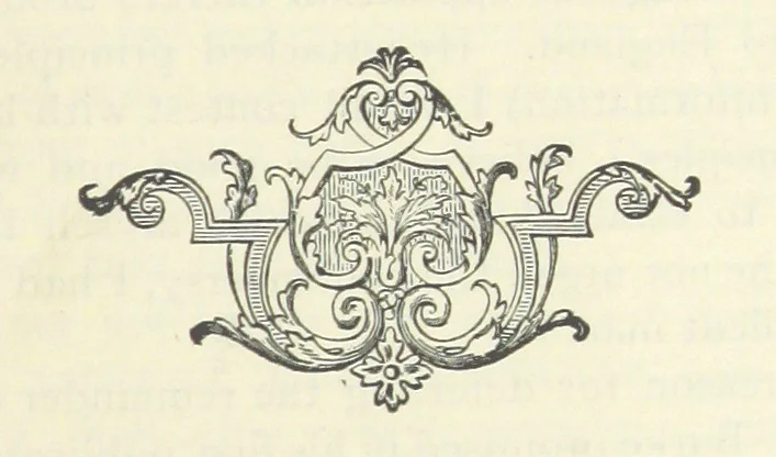 An illustration from The Writings of Thomas Paine. Collected and edited by M. D. Conway, 1894, leaf 403